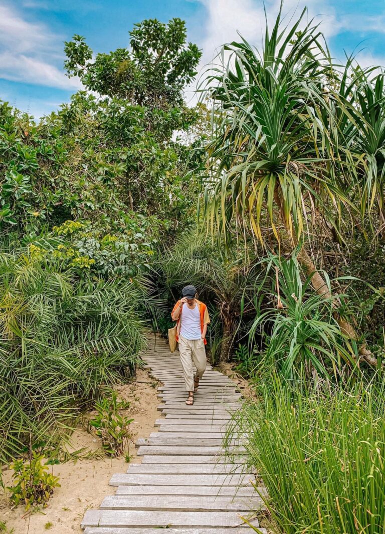 Blog thumbnail image